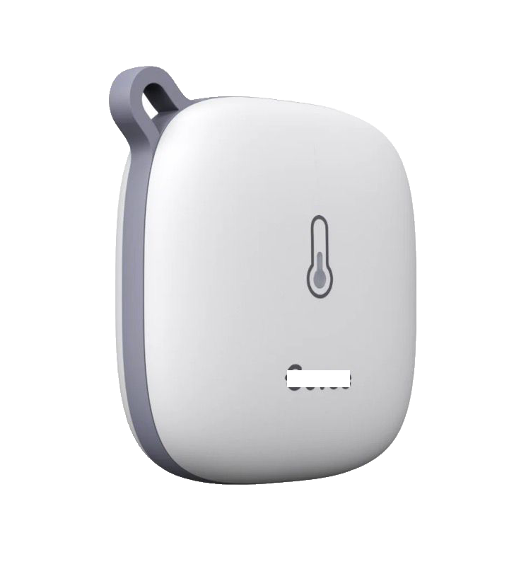 IoT temperature sensor